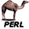 Einführung in Perl5 Objekte