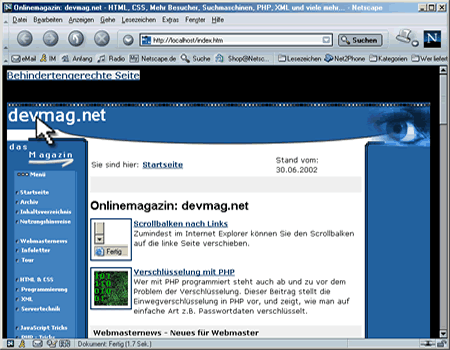 Macht einen guten Eindruck, der Netscape Navigator 7.0